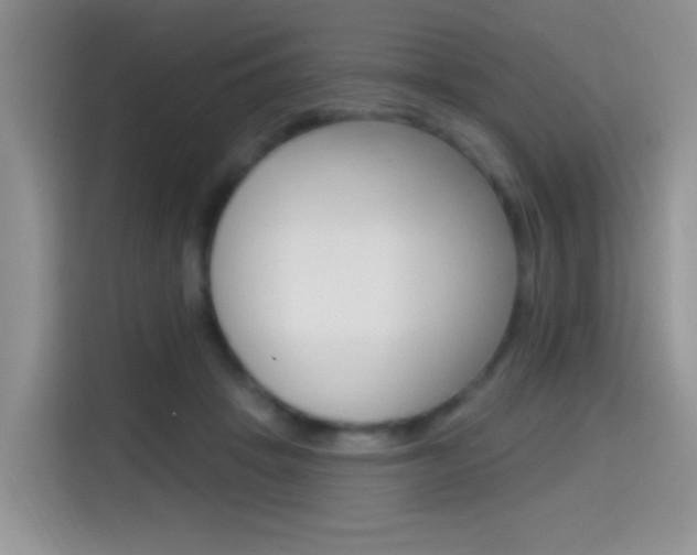 X0000114650457200910201004