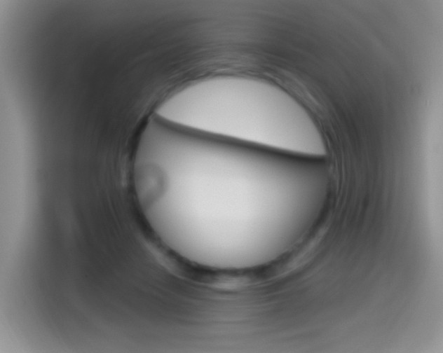 X0000114650458200910201004