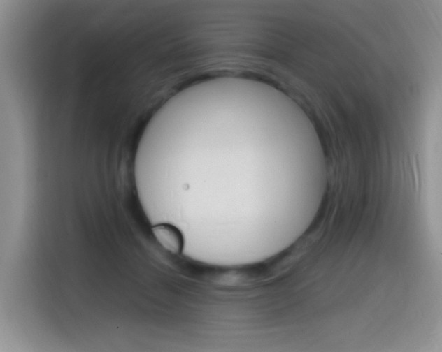 X0000114650460200910201004
