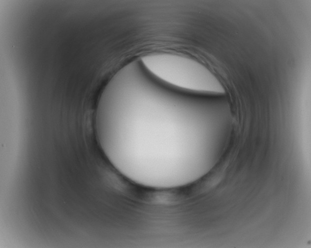 X0000114650462200910201004
