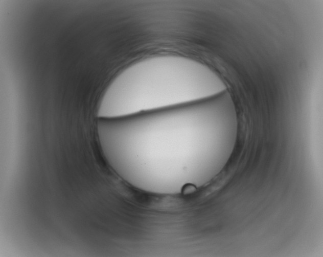 X0000114650463200910201004