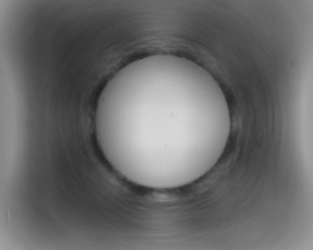 X0000114650464200910201004