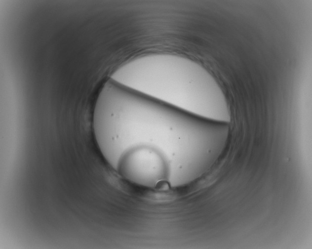 X0000114650466200910201004
