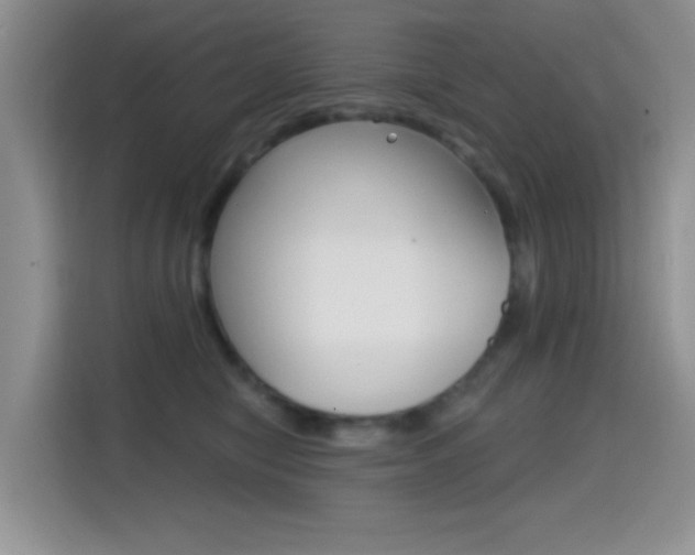 X0000114650470200910201004