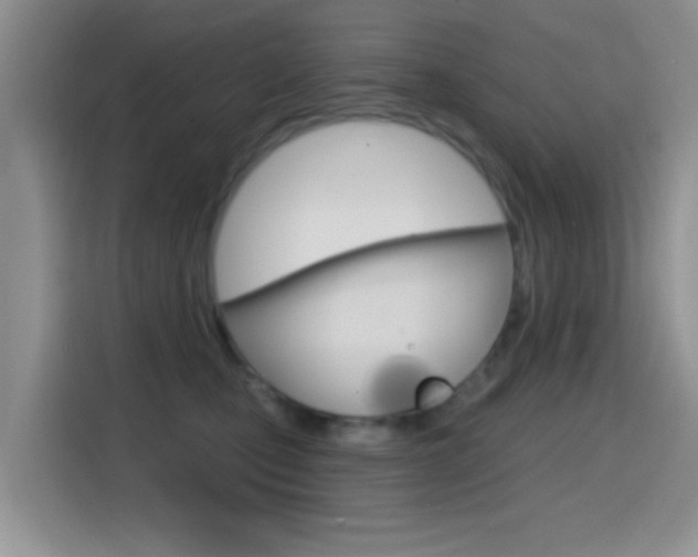 X0000114650471200910201004