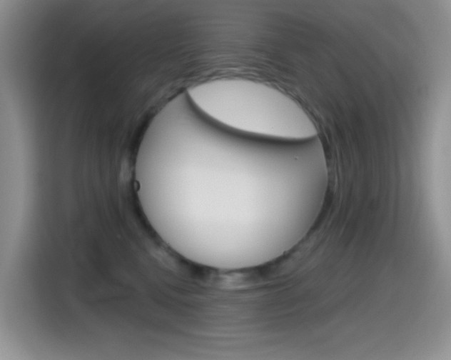 X0000114650472200910201004