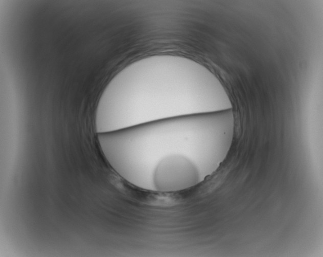 X0000114650475200910201004