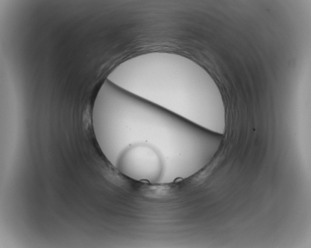 X0000114650478200910201004
