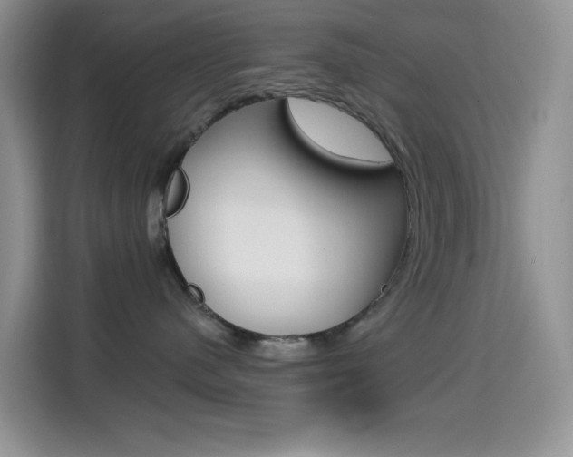 X0000114650480200910201004