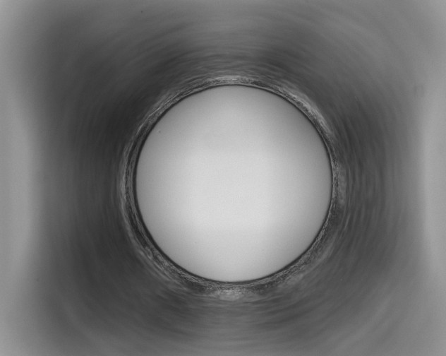 X0000114650482200910201004