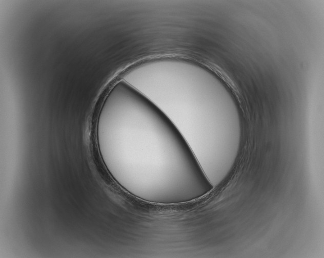 X0000114650483200910201004