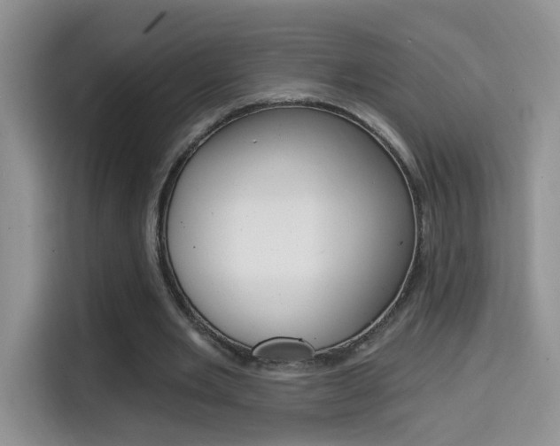 X0000114650485200910201004