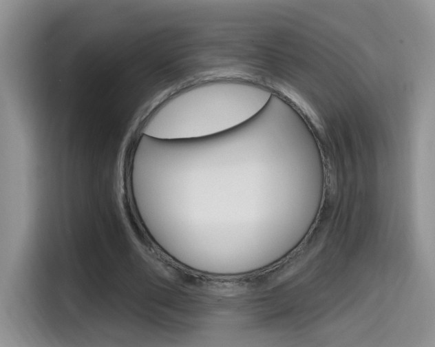 X0000114650486200910201004