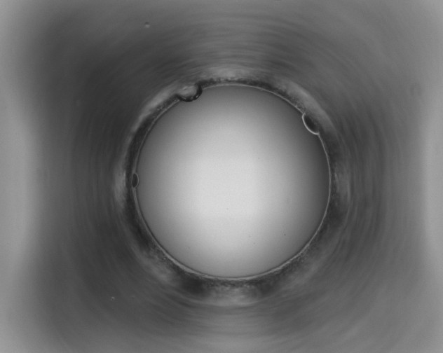 X0000114650488200910201004