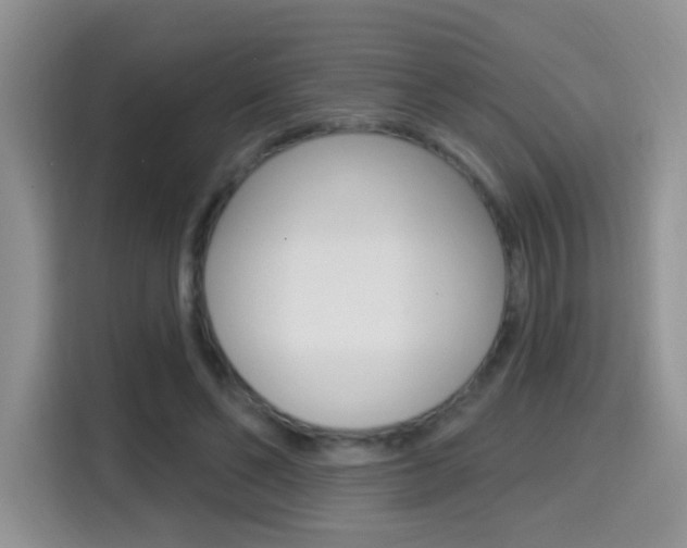 X0000114650494200910201004
