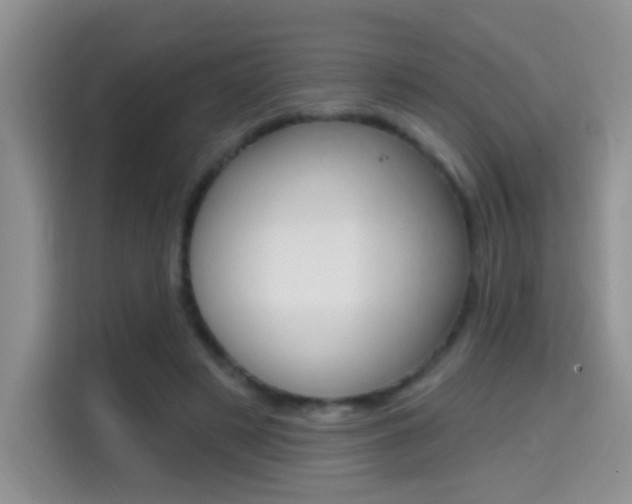 X0000114650497200910201004
