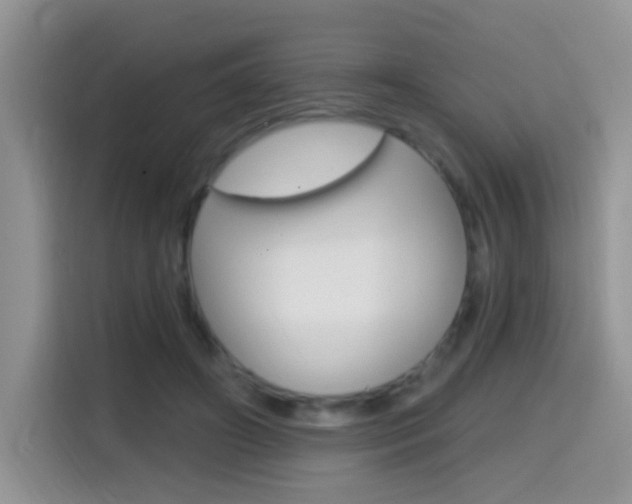 X0000114650498200910201003