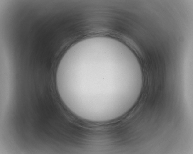 X0000114650501200910201003
