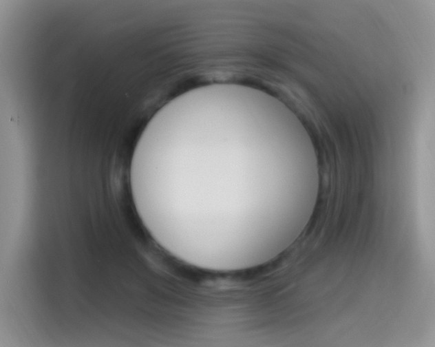 X0000114650503200910201003