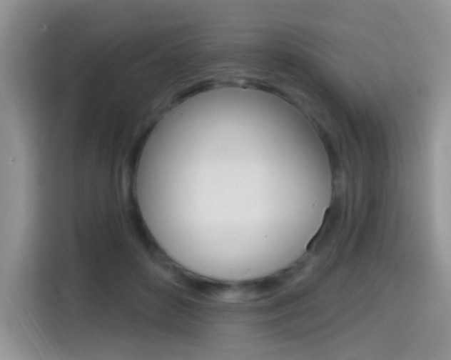 X0000114650504200910201003