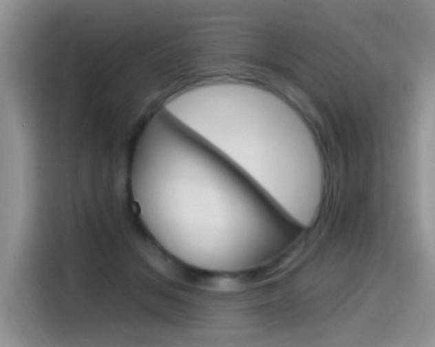 X0000114650509200910201003