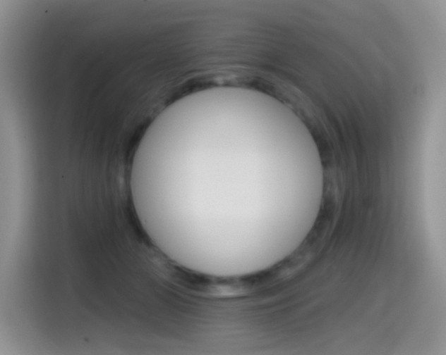 X0000114650510200910201003