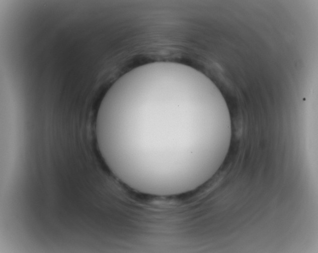 X0000114650515200910201003