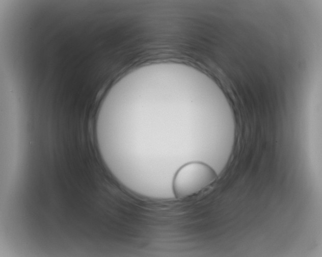 X0000114650516200910201003