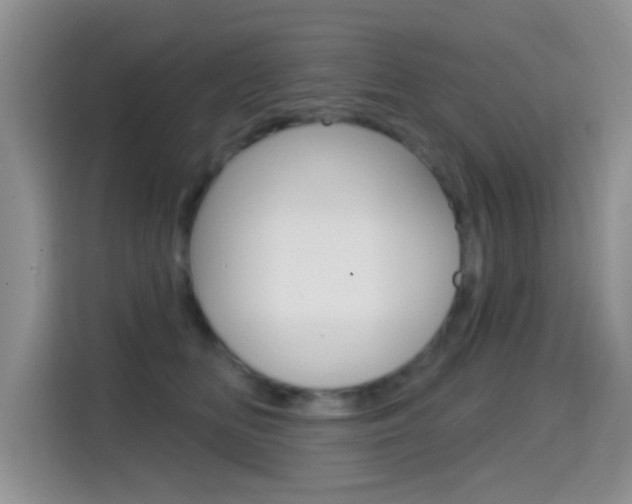 X0000114650518200910201003