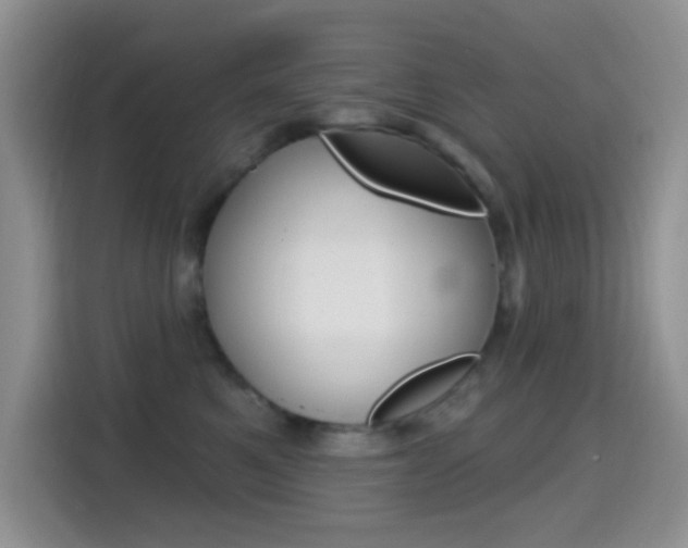 X0000114650521200910201003