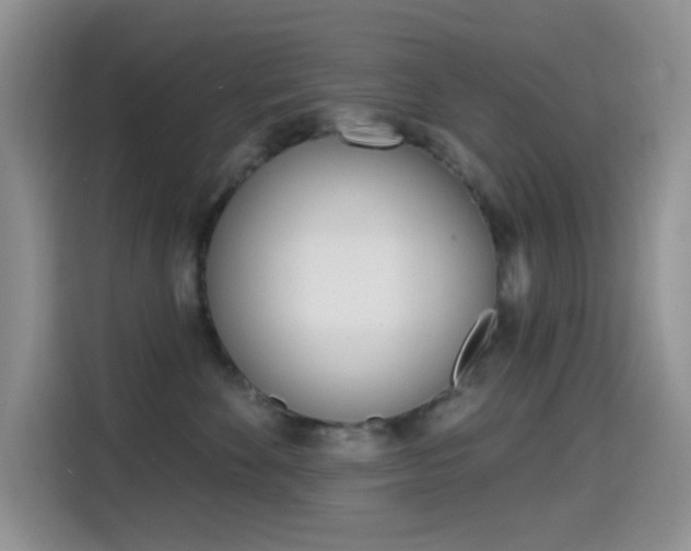 X0000114650524200910201003