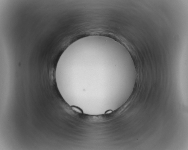 X0000114650525200910201003