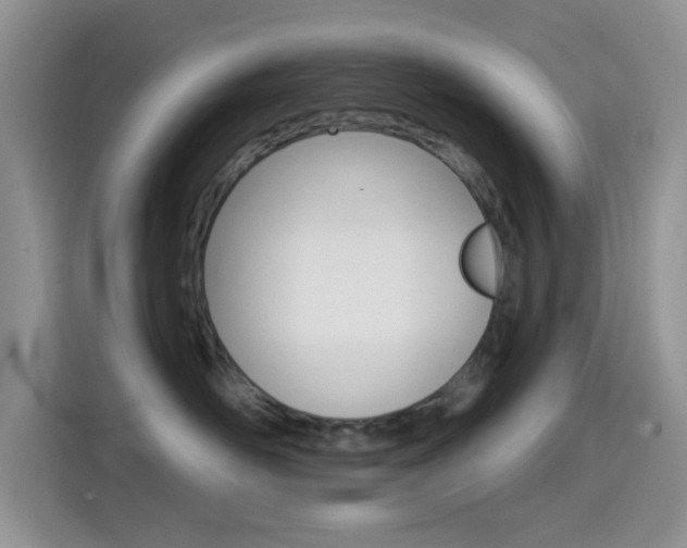 X0000114650526200910201003