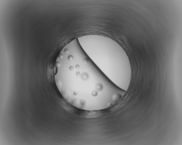 X0000114650527200910201003