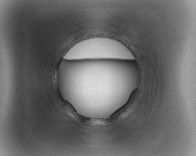 X0000114650528200910201003