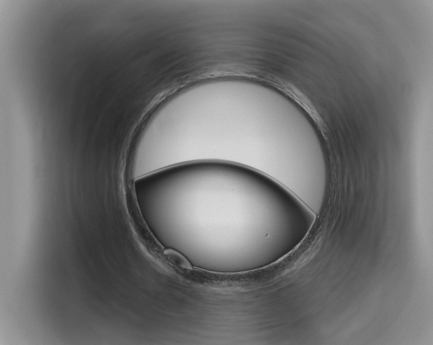 X0000114650530200910201002