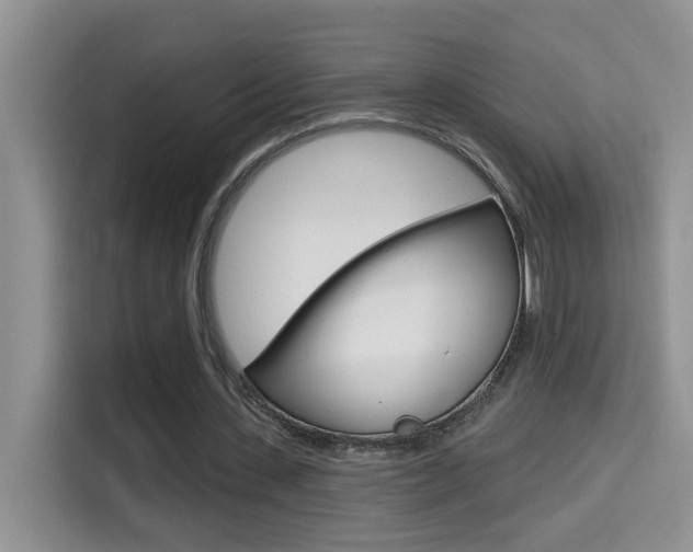 X0000114650531200910201003