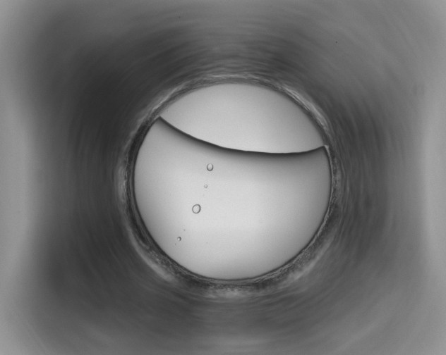 X0000114650533200910201003