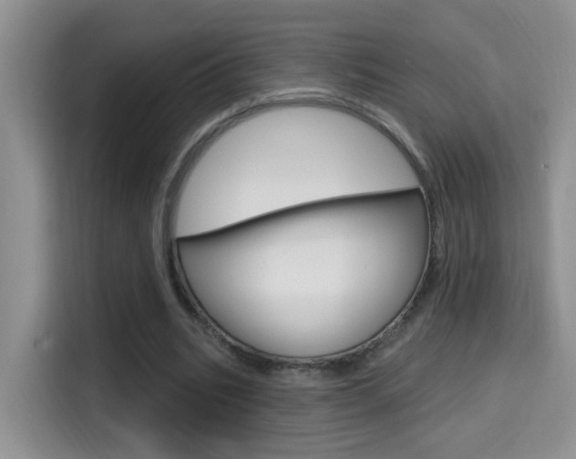 X0000114650535200910201003