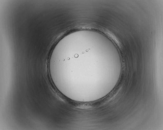 X0000114650537200910201003