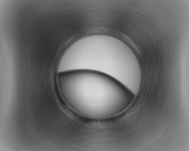 X0000114650538200910201003