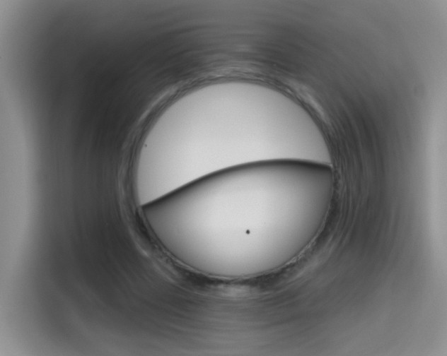 X0000114650539200910201003