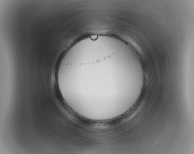 X0000114650541200910201003