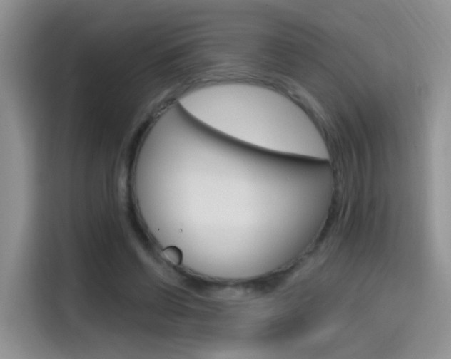 X0000114650542200910201003