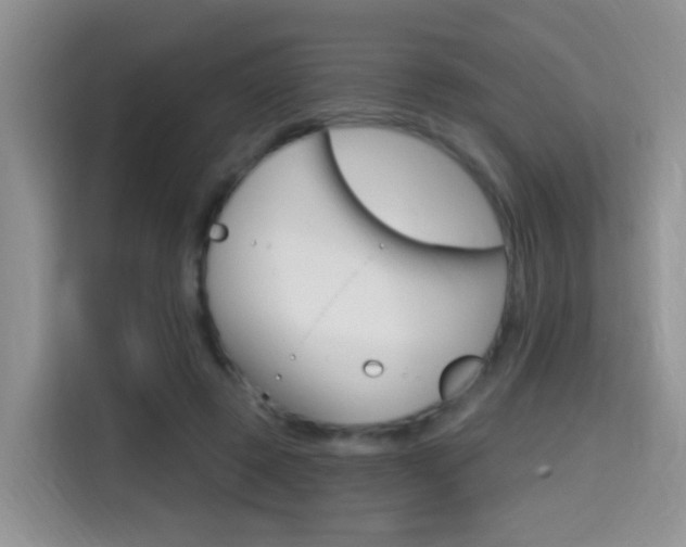 X0000114650545200910201003