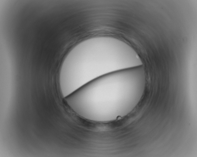 X0000114650547200910201003