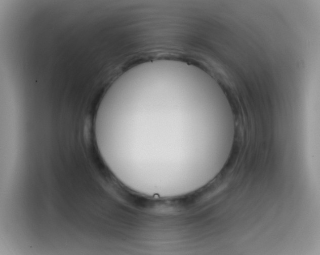 X0000114650550200910201003