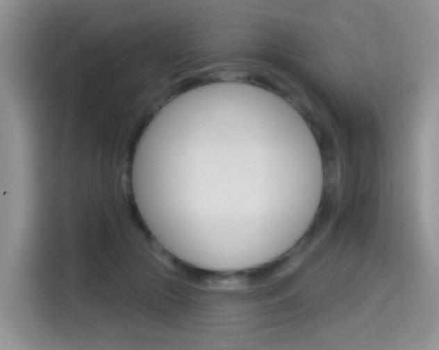 X0000114650553200910201003