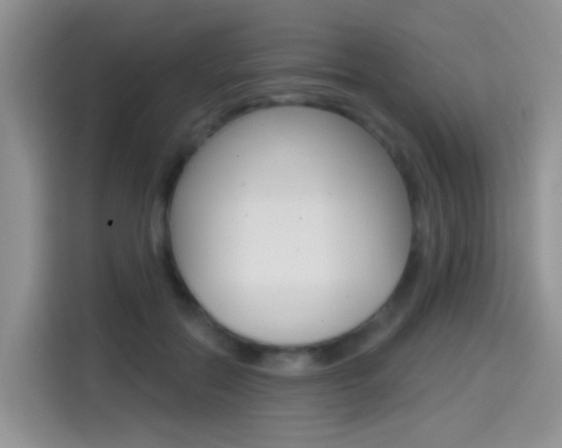 X0000114650554200910201003