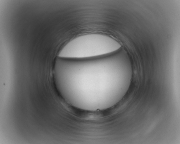 X0000114650555200910201003